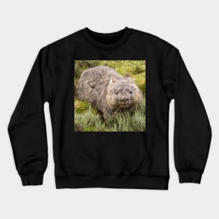 Happy Wombat, Cradle Mountain Tasmania (square) Crewneck Sweatshirt